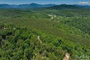 419 Travelers Rest Ln, Rutherfordton, NC 28139 - Photo 29