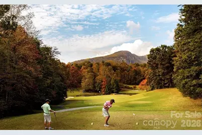 122 Raptor Court, Lake Lure, NC 28746 - Photo 41