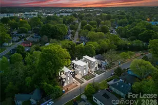 719 Charles Ave, Charlotte, NC 28205 - Photo 39