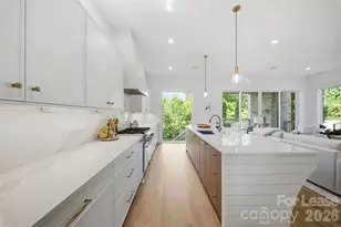 719 Charles Ave, Charlotte, NC 28205 - Photo 7