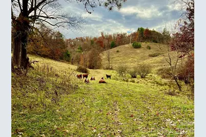 Tbd W Hwy 19 Highway E, Burnsville, NC 28714 - Photo 23