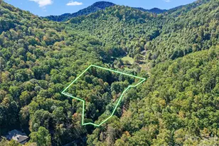 81 Summer Trees Ln, Burnsville, NC 28714 - Photo 41