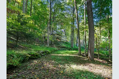 81 Summer Trees Lane, Burnsville, NC 28714 - Photo 33