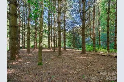 81 Summer Trees Lane, Burnsville, NC 28714 - Photo 37