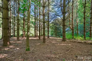 81 Summer Trees Ln, Burnsville, NC 28714 - Photo 37