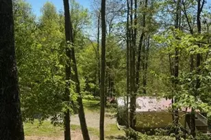 918 Plott Balsam Rd, Maggie Valley, NC 28751 - Photo 11