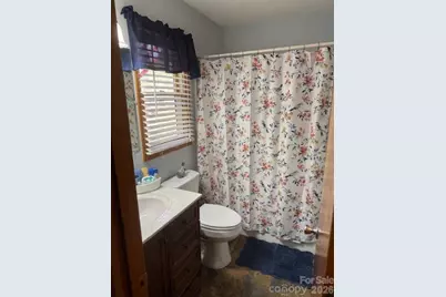 918 Plott Balsam Road, Maggie Valley, NC 28751 - Photo 25