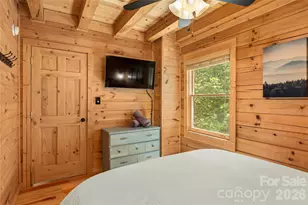 517 Luther Burbank Dr, Lake Lure, NC 28746 - Photo 25