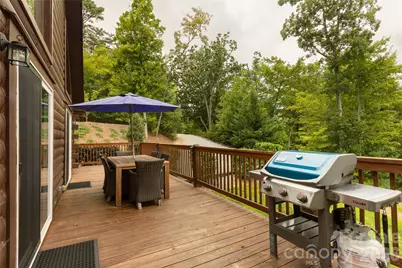 517 Luther Burbank Drive, Lake Lure, NC 28746 - Photo 41