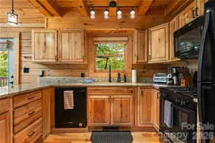 517 Luther Burbank Dr, Lake Lure, NC 28746 - Photo 29