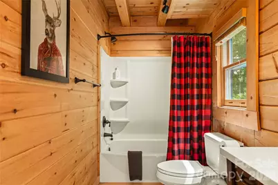 517 Luther Burbank Drive, Lake Lure, NC 28746 - Photo 27