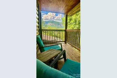 517 Luther Burbank Drive, Lake Lure, NC 28746 - Photo 21