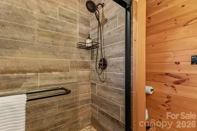 517 Luther Burbank Drive, Lake Lure, NC 28746 - Photo 19
