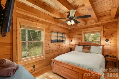 517 Luther Burbank Drive, Lake Lure, NC 28746 - Photo 23