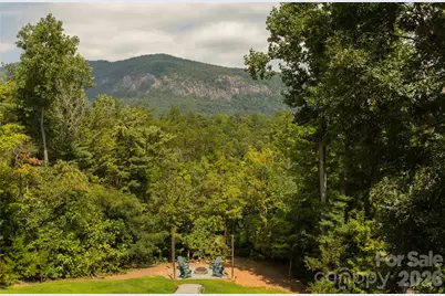 517 Luther Burbank Drive, Lake Lure, NC 28746 - Photo 3