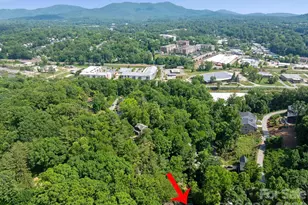 1 Pickwick Rd, Asheville, NC 28803 - Photo 37