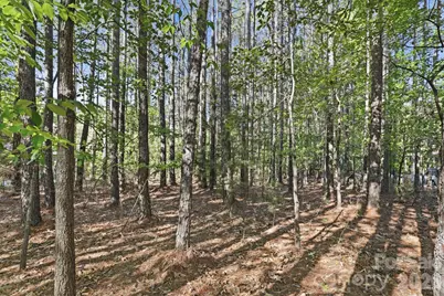 158 Blue Ridge Trail, Mooresville, NC 28117 - Photo 5