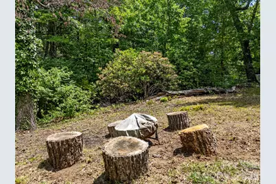 707 Dogwood Trail, Tryon, NC 28782 - Photo 45