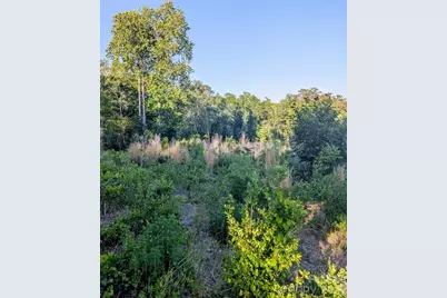 3328 Love Road, Kershaw, SC 29067 - Photo 7