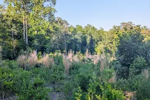 3328 Love Rd, Kershaw, SC 29067 - Photo 7