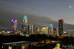 715 N Graham St, Charlotte, NC 28202 - Photo 31