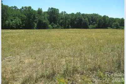 00 Dave Heafner Road, Crouse, NC 28033 - Photo 3