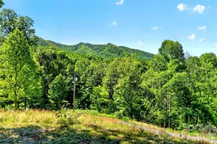 298 Wolf Xing, Bakersville, NC 28705 - Photo 41