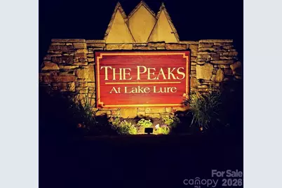 301 Peaks Drive, Lake Lure, NC 28746 - Photo 5