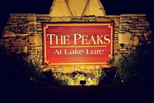 301 Peaks Dr, Lake Lure, NC 28746 - Photo 5
