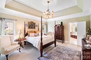 6912 Ellington Farm Ln, Mint Hill, NC 28227 - Photo 19