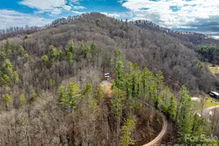 2504 Upper Paw Paw Rd, Marshall, NC 28753 - Photo 41