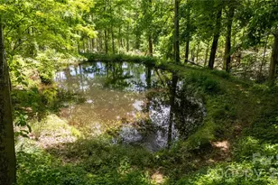 8 Westward Way, Bakersville, NC 28705 - Photo 13