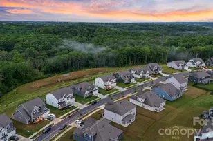 1179 Sugar Crk Rd, Indian Land, SC 29707 - Photo 25