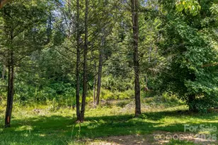 67 Banks Town Rd, Weaverville, NC 28787 - Photo 33