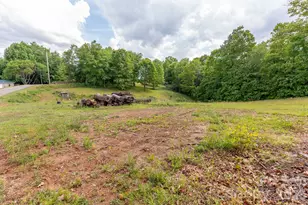 451 Rustic Ridge Dr, Canton, NC 28716 - Photo 43