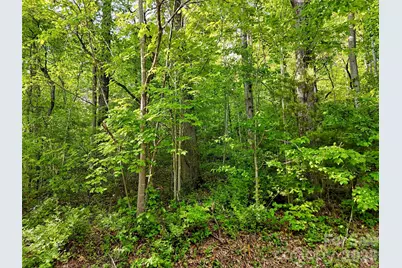00 Junaluska Oaks Drive, Waynesville, NC 28786 - Photo 5