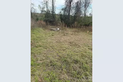 38 Short Eason Road, Ruby, SC 29741 - Photo 19