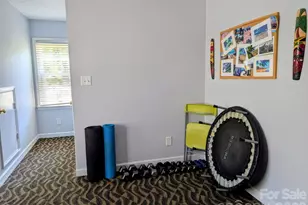 19138 Brookgreen Garden Pl, Cornelius, NC 28031 - Photo 25