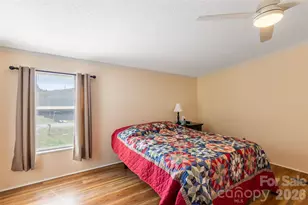 24 Asa Ct, Black Mountain, NC 28711 - Photo 21