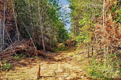 3361 Bethlehem Road, Old Fort, NC 28762 - Photo 37
