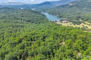 439 Youngs Mountain Dr, Lake Lure, NC 28746 - Photo 37