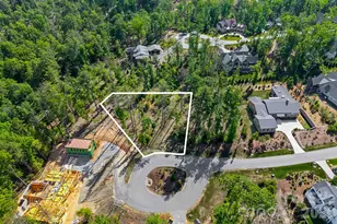 325 Flowering Vine Ct, Asheville, NC 28803 - Photo 1