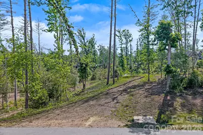 325 Flowering Vine Court, Asheville, NC 28803 - Photo 3