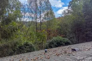 197 Savannah Meadows Trail, Sylva, NC 28779 - Photo 37