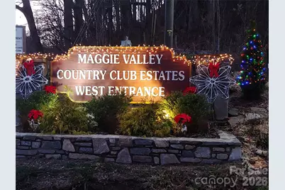 1564 Country Club Drive #B-301, Maggie Valley, NC 28751 - Photo 39