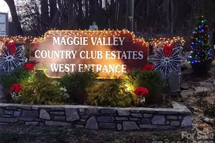 1564 Country Club Dr, Maggie Valley, NC 28751 - Photo 39