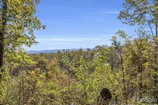311 Charming Ln, Hendersonville, NC 28792 - Photo 45