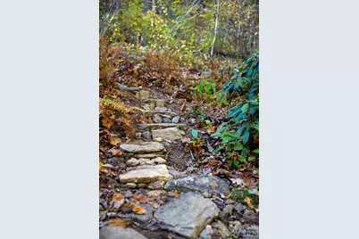 808 Mountain Cove Road, Hendersonville, NC 28792 - Photo 29