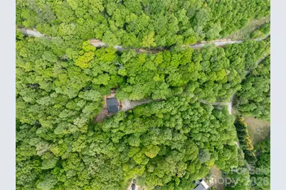 808 Mountain Cove Road, Hendersonville, NC 28792 - Photo 37