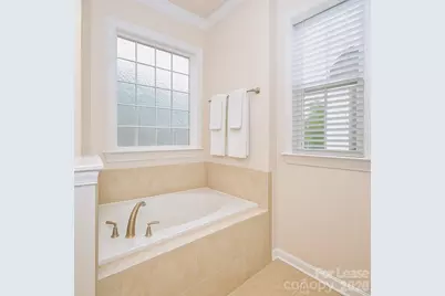 18517 Boulder Rock Loop, Davidson, NC 28036 - Photo 17